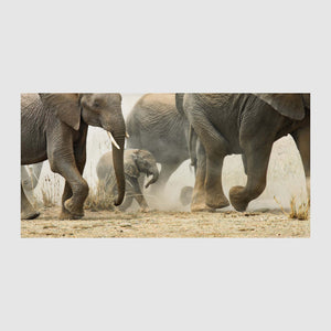 
                  
                    Load image into Gallery viewer, Amboseli Crossing
                  
                
