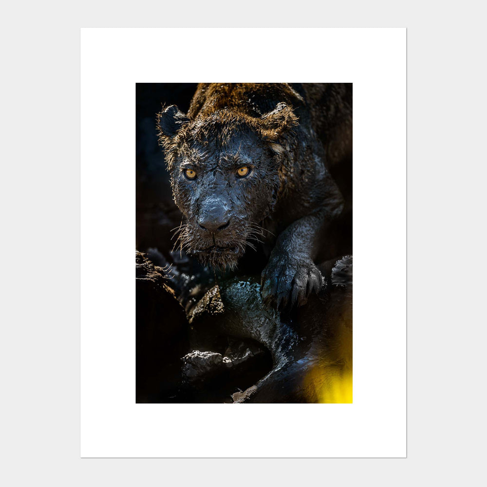
                  
                    Load image into Gallery viewer, Mud Monster
                  
                