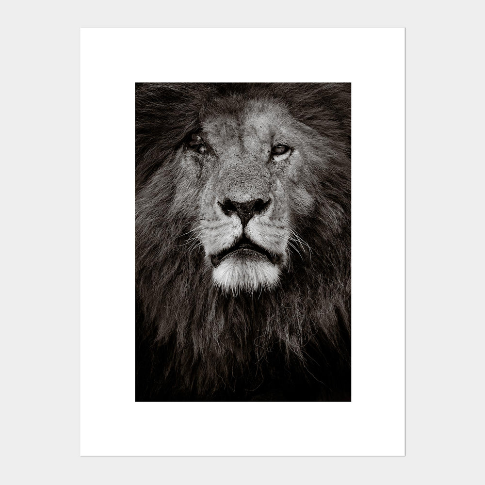 
                  
                    Load image into Gallery viewer, Scar (b&amp;amp;w)
                  
                