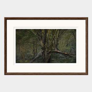 
                  
                    Load image into Gallery viewer, The Enchanted Woodland
                  
                